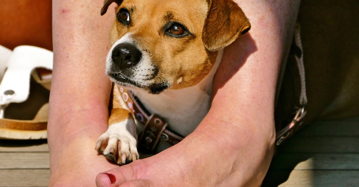 Программы лояльности казино без депозита для получения VIP статуса